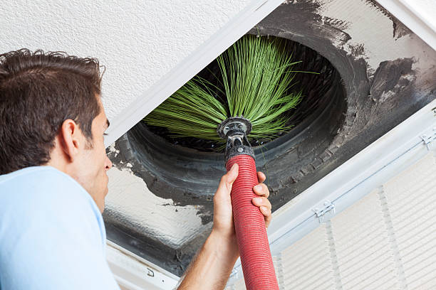 Best Professional Duct Cleaning Services  in River Road, OR